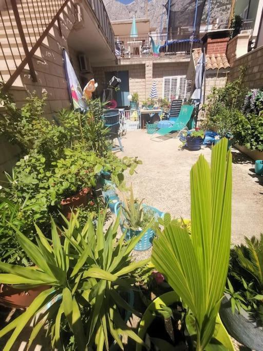 Makarska Blue Oasis Apartman 2-6 Esterno foto